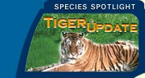 Species Spotlight